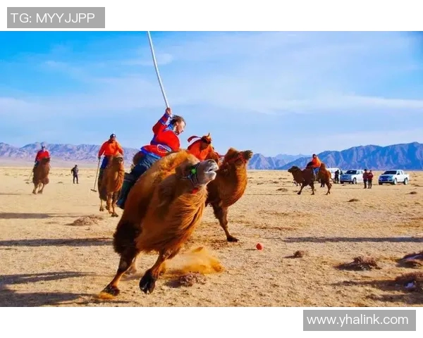 骆驼区足球比赛直播平台全新上线精彩赛事实时观看不容错过